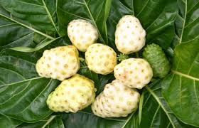 banner-thumbnail-HAWAIIAN NONI